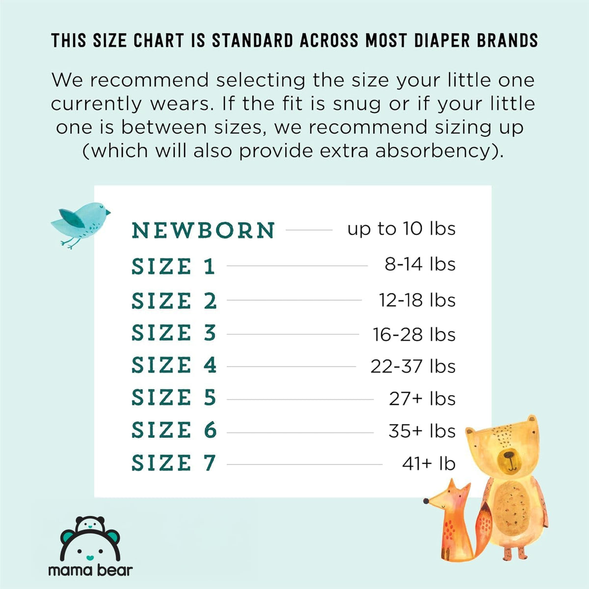 Amazon Brand - Mama Bear Gentle Touch Baby Diapers, Size 3, 42 Count, Wetness Indicator, Stretchy Waistband, Skin Health Alliance Approved