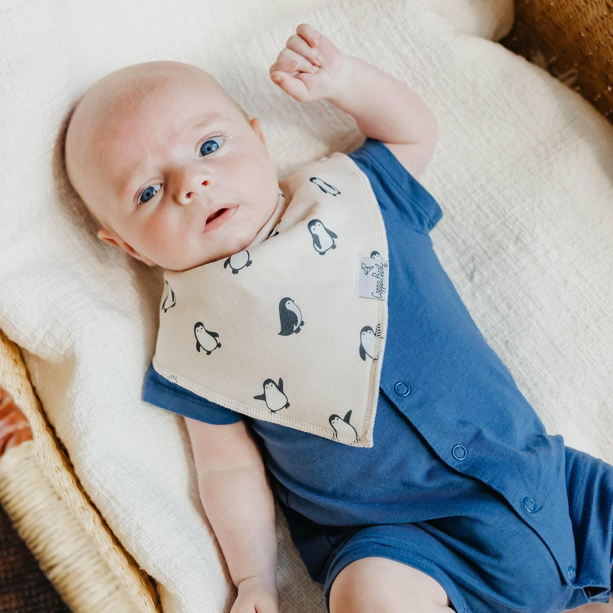 Copper Pearl Baby Bibs 4 Pack, Printed Bandana Drool Bibs for Baby Girl & Boy, Soft Cotton Drooling Teething Bibs
