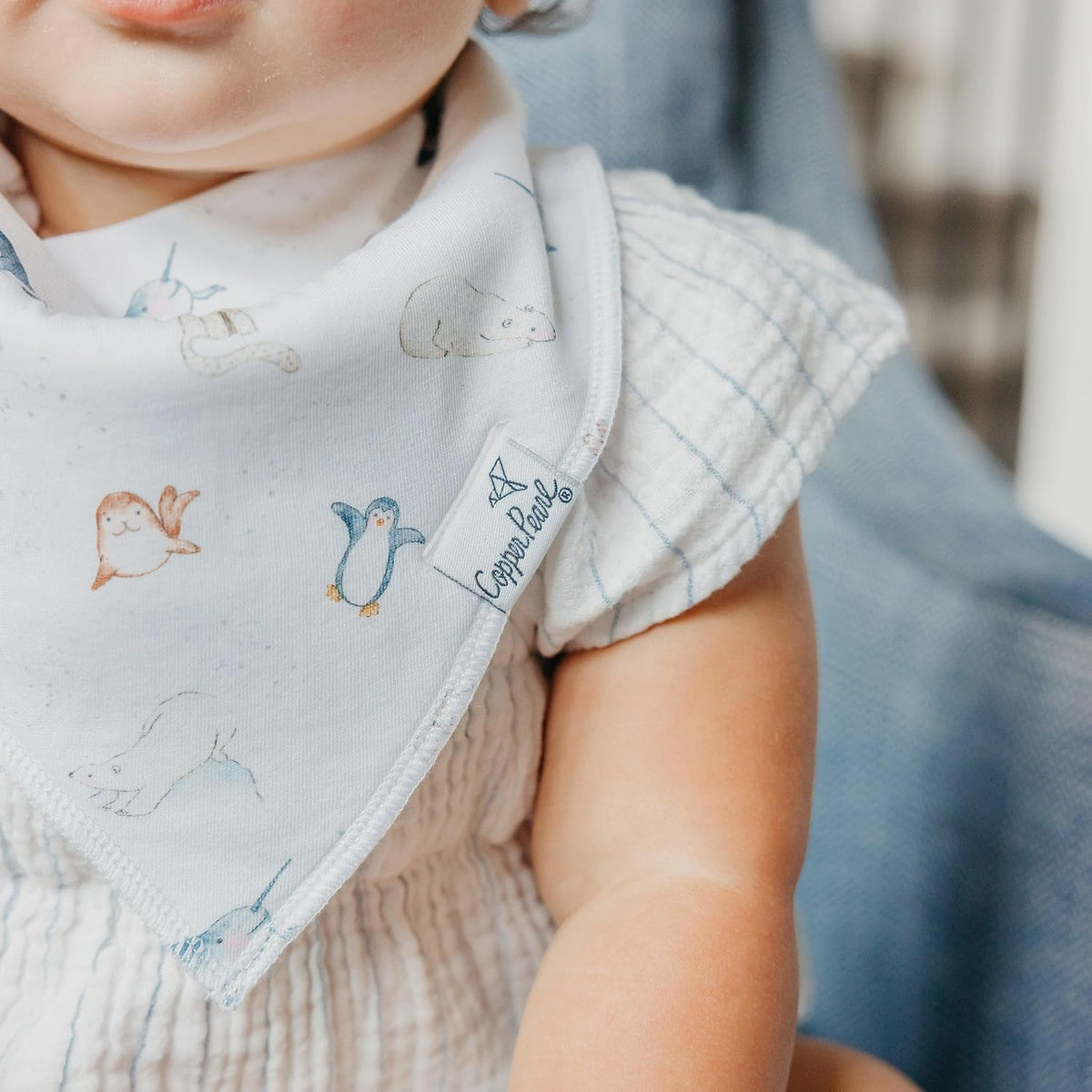 Copper Pearl Baby Bibs 4 Pack, Printed Bandana Drool Bibs for Baby Girl & Boy, Soft Cotton Drooling Teething Bibs